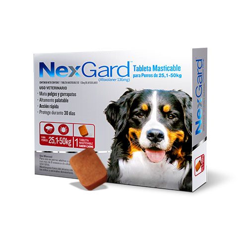 Nexgard XL