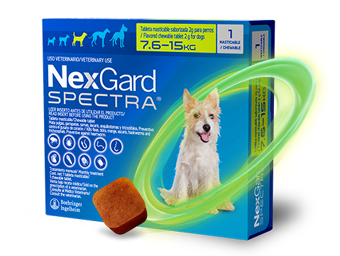 Protección contra parásitos con un bocado sabroso