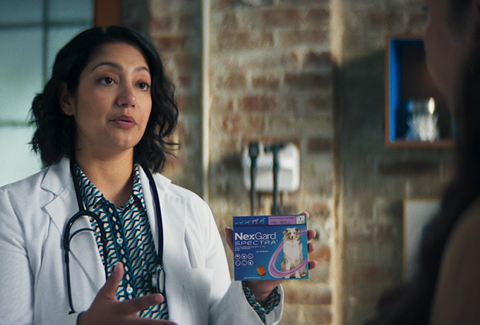 NexGard Spectra venta en canales oficiales