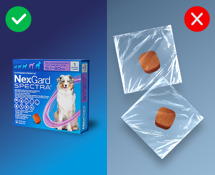 Compra NexGard Spectra en canales de venta oficiales para evitar poner en riesgo su salud.